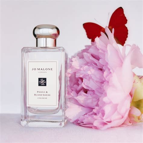 peony and blush suede perfume dupe|peony and blush suede perfume.